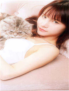 YIN荡的巨RU老师/爱马夫人