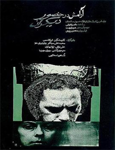 江户盗贼团双雄2